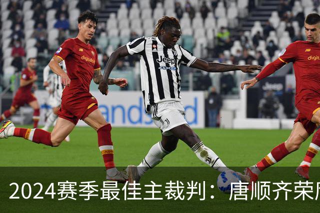 2024赛季最佳主裁判：唐顺齐荣膺金哨 马宁铜哨